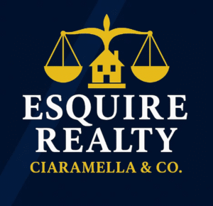 9e9ec3_82e00ad6c1cf4d98b0c1a8c70d7ed511~mv2